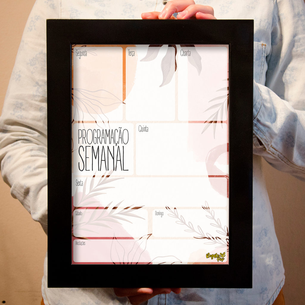 Quadro programação ramos 5
