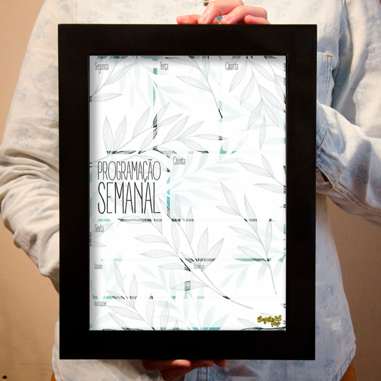 Quadro programação ramos